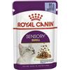 Royal Canin Sensory Smell In Jelly - Cibo umido per gatti, 12 x 85 g