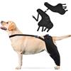 PETCUTE Ginocchiera per Cani,Tutore Gomito per Cani Protezione delle Ferite Cani Compressione e Extra Supporto,Regolabili Tutore per Zampe Posteriori per Cani,per Lesioni e Distorsioni