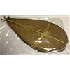 Catappa-Leaves Catappa Leaves Indian Almond - Foglie di mandorlo marino, 10 pezzi, 15-20 cm, maturate e secche
