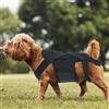 Fabater Tutore per la Schiena del Cane, Gilet di Supporto per la Schiena 'Animale Domestico per Bassotti, e Altri Cani Artrite IVDD, Ernia del Disco, Recupero Chirurgico Spinale (Taglia