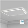 byecold Riscaldamento a infrarossi, montaggio a soffitto, 590 Watt, riscaldamento a raggi infrarossi con illuminazione a LED, riscaldamento a infrarossi, soffitto con termostato, telecomando, piastra