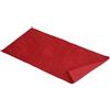 Riad Arredo Tappeto Bagno Morbido in Microfibra Assorbente Antiscivolo - Tappetini Scendi Doccia Asciugaveloce Pratico Varie Misure (60 x 120 cm, Bordeaux)