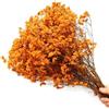 EboLD Bouquet di fiori secchi in cristallo naturale essiccato, 35 ~ 45 cm/100 g, decorazione per la casa e per matrimoni, arancione, 100 g, 35-45 cm