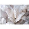WallArena - Carta da parati fotografica - foglie 400x280 cm - Murale fotografico - Per soggiorno e camera da letto - Effetto 3D - con Colla - Boho natura bianca