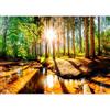 murando - Carta da parati Bosco Foresta 300x210 cm Fotomurali in TNT Murale alla moda Decorazione da Muro XXL Poster Gigante Design Carta per Pareti Soggiorno Bosco Foresta Paesaggio c-B-0267-a-a