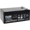 TriFirmum Fiamm Batteria Serie FG 12V Alimentazione di emergenza UPS Collegamento Faston 187 piatta di 4,8 mm (FG20341 Amperaggio 3,4 Ah)
