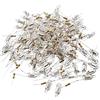 Generic XYWHPGV 100Pcs F6 6x16mm Lampada spia a rossa brillante con al neon con resistenza da 100K(13dea f5732 7687b 79494 74a53 e1238