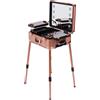 Legwfdthy Valigetta cosmetica trolley, beauty make-up, valigia a specchio, illuminazione professionale, piastra di copertura e ripiani estraibili, gambe regolabili, robusta