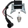 ICOOYO Bobina di accensione per Shindaiwa GP450 B45 B45INTL BP40LA C35 BP35 GP45 RC-35 A411000820, 20011-71611, P021045020