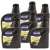 Tamoil Sint Future Champion 2T 6 LITRI Olio motore a 2 tempi alte prestazioni Totalmente Sintetico