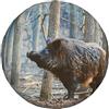 NIBABAEU Copertura per ruota di scorta, cinghiale suino nella foresta, impermeabile, antipolvere, copriruota 14 pollici