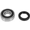 FAG CUSCINETTO RUOTA + GUARNIZIONE SPI FAG ADATTABILE MBK 50 BOOSTER AR-YAMAHA 50 BWS AR (KIT 6203-2RS)