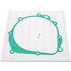 TERAM LOISIRS Guarnizione Carter Compatibile per Suzuki DRZ 400 / DR-Z 400 SM 2005 2006 2007 2008 2009 2010 2011 2012 2013 2014 2015 2016 2017 201017 20101010118 20 19 Nuovo