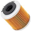 Road Passion Filtro Olio Compatibile con APRILIA SXV450 449 2006 2007 2008 2009 2010 / SXV550 549 2006 2007 2008 2009 2010 2012