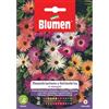 Blumen SEMENTI DI SET TEMBRINO MESEMBRIANTEMO giardino semi fiori aiuole blumen