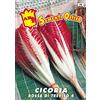 Mondonatura Cicoria Radicchio rosso di Treviso 4 semi in busta