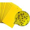 Deter Center 12 pz. Piastre COLLANTI INSETTICIDA per Trappola Luminosa Cattura Insetti Halo e Fly Trap FTP30 PRO CM.39x30 Colore Giallo - cod. 216-FTP3