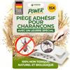 GREEN GUARDIA Trappola per il coleottero con speciale materiale adesivo - 15 trappole per coleotteri - ecologiche combattere i coleotteri del grano, trappola senza sostanze chimiche con forte