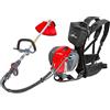 efco DECESPUGLIATORE EFCO DSF 5500 SPALLEGGIATO 3,3 HP 2,4 KW ROSSO