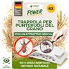 GREEN GUARDIA Trappola per coccinelle con speciale attrattiva - 6 trappole per coleotteri - Ecologica contro i coleotteri di grano, trappola senza sostanze chimiche con forte superficie adesiva
