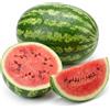Generico Semi di Anguria Crimson Sweet | Alta Germinazione | Frutti Dolci e Succosi | Semi da Orto Professionali | Ideali per Giardino e Vaso | Raccolto Estivo Abbondante