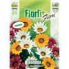 Flortis Gazania Nana Compatta Mix
