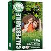 Verdevita Semi Per Prato Resistente - Semi Resistenti al Calpestio - Prato Verde Brillante Resistente al Caldo - Semi Prato Resistente - 1kg per 40m2