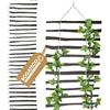 BOGATECO Griglia per traliccio in nocciola per piante rampicanti, 50 x 200 cm, colore nero, ideale per il giardino, il balcone e la terrazza, per la privacy, 2 misure a scelta