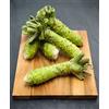 Generic 50 graines de Graines de Wasabi, Wasabia japonica, Eutrema japonicum