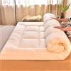 EMERZE Futon Giapponese da Pavimento Confortevole e Antiscivolo, Materasso Doppio Pieghevole Tatami, Portatile per Campeggio, 004, 200x220cm