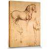 1art1 Leonardo da Vinci Poster Stampa Artistica su Tela Studio De Cavallo, 1493-1494 Quadro da Parete sulla Barella | Murale XXL | Immagine 40x30 cm