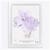 Online-GalleryKing Cornice Foto 85 x 120 cm Cornice per Poster Puzzle Collage di Foto Colore Bianco Opaco in Vetro antiriflesso e Cornice in MDF da 35 mm