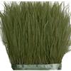 THARAHT Verde Oliva Piume di Struzzo Trim Frangia di Cucito 2Yard 4-6inch per Il Vestito Fai da Te Cucito Craft Clothing Latino Wedding Dress Decorazione Piuma di Struzzo Trim