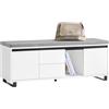 SoBuy Scarpiera con 2 ante e 2 cassetti, Panca con vano portaoggetti, Panca ingresso, Scarpiera con sedile, Bianco 110x35x42cm FSR176-W