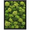 I GIARDINI DI GIULIA Quadro Rettangolare in Muschio e licheni Stabilizzati - Cornice in Legno Naturale - Decorazione Vegetale Elegante per Casa e Ufficio - Senza Manutenzione (40X30 CM)