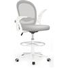 naspaluro Sedia Ufficio, Sedia Scrivania con Supporto Lombare, Poltrona Ufficio in Rete Traspirante, Sedia da Ufficio Ergonomica Braccioli e Altezza Regolabili, Grigio