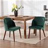 DAYALANE Set di 2 Sedie da Pranzo in Velluto Sedie da Cucina con Gambe in Legno Sedia da Salotto Scandinava Poltroncina da Cucina per Camera da Letto/Cucina/Soggiorno, Verde