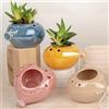 Doni Bomboniere Battesimo 4PZ Porta Piante Palloncino A Forma Vaso Originali Regalo Matrimonio Compleanno Prima Comunione Santa Cresima Diciottesimo di Cuore Colorati con Frasi Chi Sogna Impara
