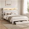 HYTKKBD Letto Imbottito 160 x 200 cm, Letto Matrimoniale con LED e Porta USB, Struttura per Letto con 2 Cassetti Contenitore e Scaffale, Rete a Doghe, Senza Materasso (Velluto bianco)