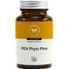 Cento Fiori PEA PHYTO PLUS 60 CAPSULE VEGETALI