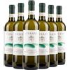 Cesani Vernaccia di San Gimignano DOCG 2024 Box da 6 bottiglie