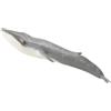 Collecta - Balena Blu - XL - 88834 (90188834)