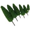 Generic 6 alberi modello cipresso - altezza da 5,7 cm a 15,9 cm