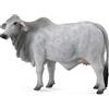 Collecta - Col88580 - Mucca Brahman - Taglia L