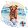 Easycosy Puzzle Personalizzato con Foto, 42/312 Pezzi, Stampa in HD per Adulti Famiglie Immagine Personalizzata Testo Puzzle Regali per Compleanno Matrimonio Anniversario