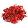 WWS War World Scenics War World Scenics Muschio Naturale per Fogliame da Modellismo Rosso 60g - Lichene Modellismo Ferroviario Scenario Alberi Cespugli Wargame Diorama Materiali Base Spedizione Tracciata