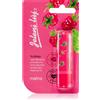 Regina Jelení lůj Raspberry 4.5 g