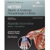 EDRA MASSON Netter. Atlante di anatomia. Fisiopatologia e clinica. Apparato locomotore. Arto superiore (Vol. 1)