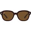 Ray-Ban ERIK RB 4398 Dark Havana/Brown 53/20/145 - Occhiali da sole unisex