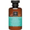 Apivita Shampoo per Capelli Grassi alle Radici e Secchi alle Punte con Ortica e Propoli, 250 ml